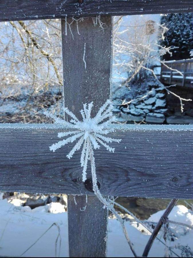 Gaesteheim Kroessbach Neustift im Stubaital Exterior foto