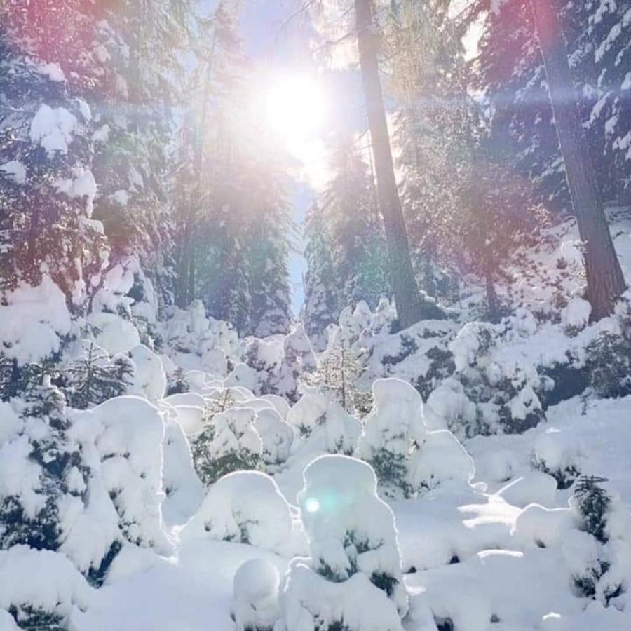 Gaesteheim Kroessbach Neustift im Stubaital Exterior foto